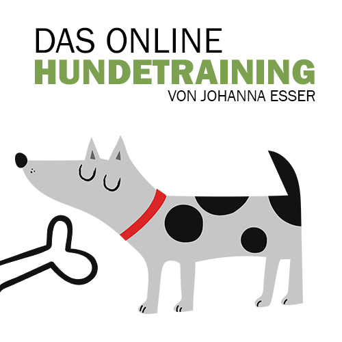 Das online Hundetraining von Johanna Esser